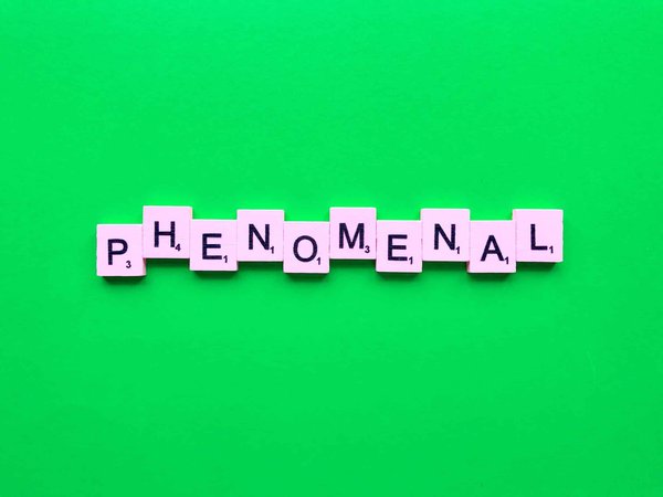 Quelle est la raison du succès des figurines Pokémon ?