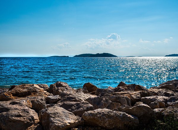 Cuisine et gastronomie en mer